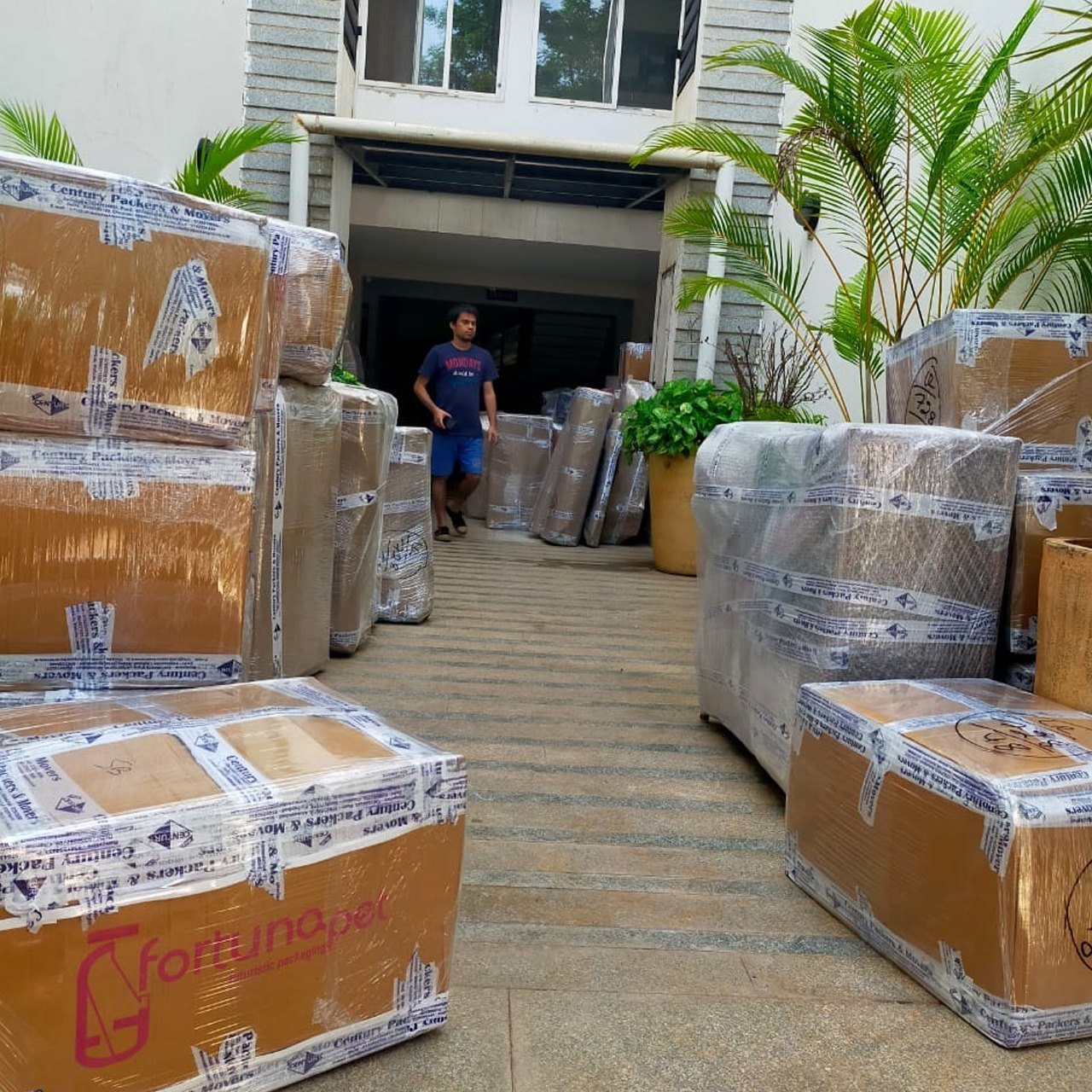 Moving Supplies
